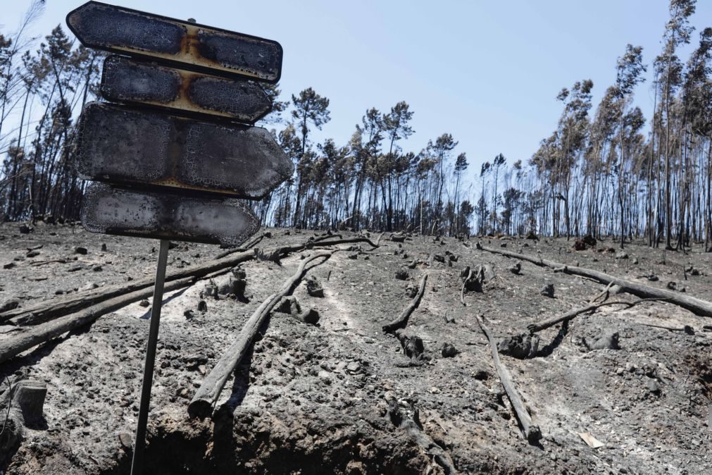 Seguradoras pagam 18,8 milhões de euros em indemnizações por incêndios mas valor pode subir