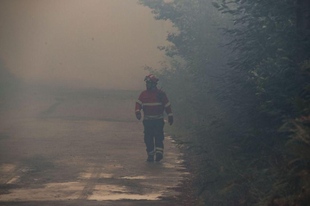 Dominado incêndio que lavrou esta tarde em Loulé