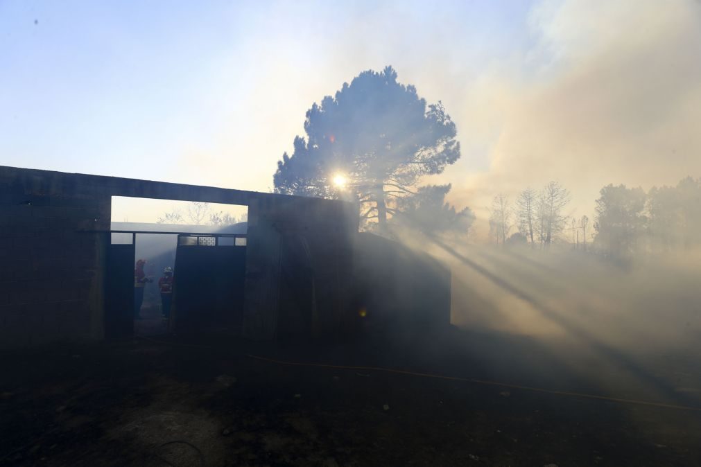 Exército reforça com 250 militares apoio a vigilância e rescaldo dos incêndios