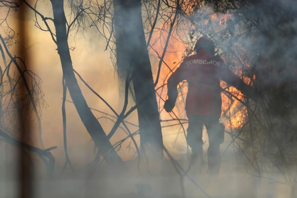 Incêndios: Proteção Civil diz que comunicações