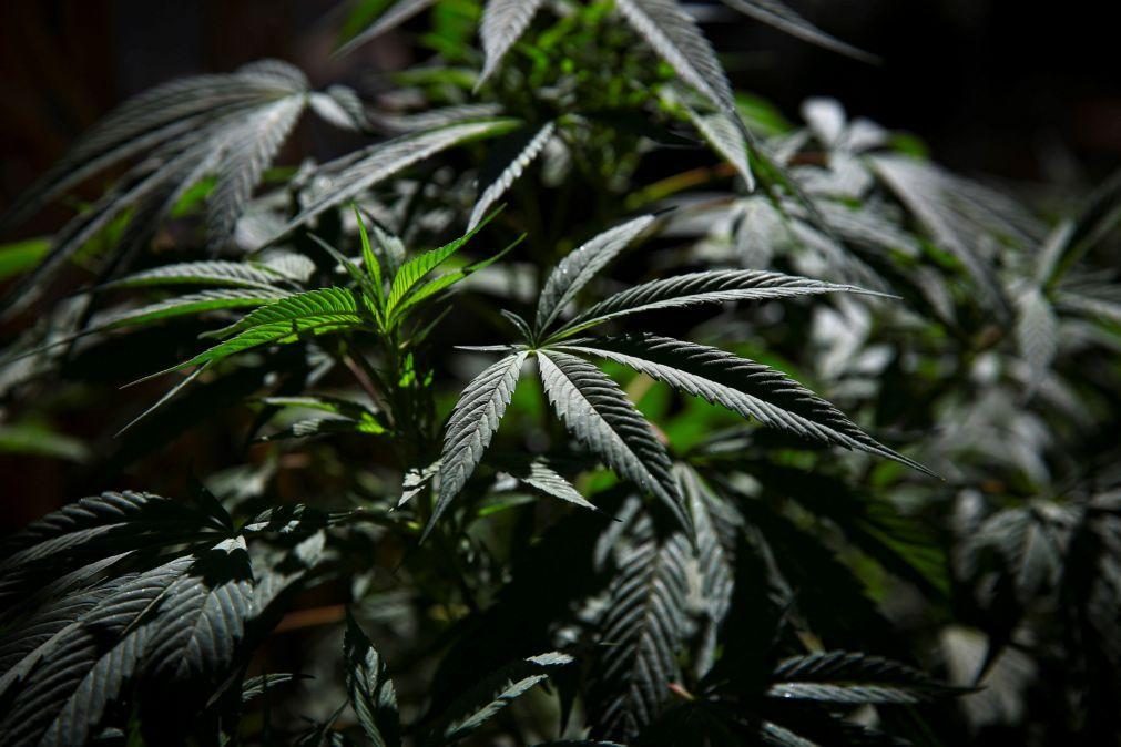 Prisão domiciliária para homem de 25 anos detido na Maia por tráfico de droga