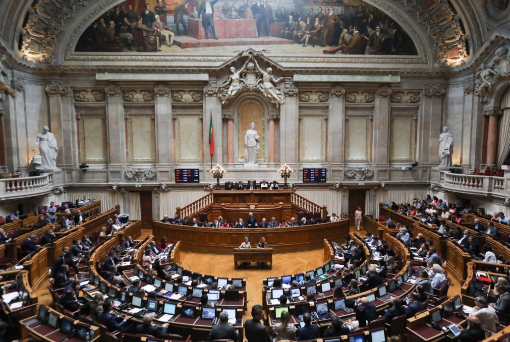 Incêndios: Assembleia da República aprova urgência no apoio a vítimas e familiares