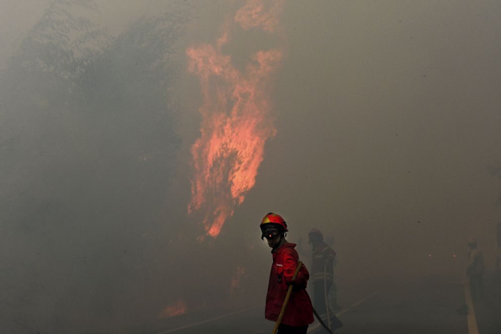 Este ano os fogos têm