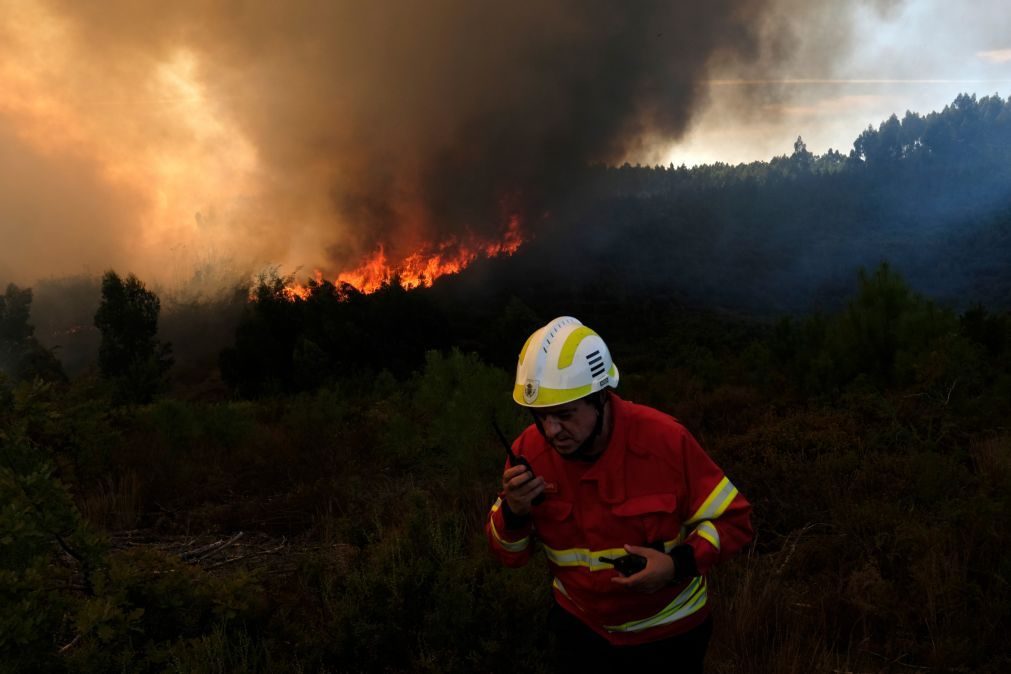 Registadas menos 5% de ocorrências de incêndios na primeira semana de agosto