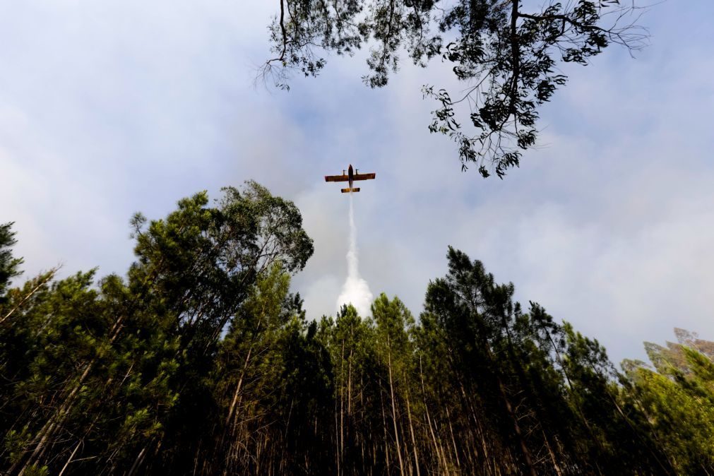 Dominado fogo que teve início em Coimbra a alastrou a Poiares e Miranda do Corvo