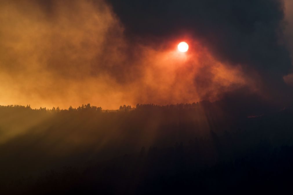 Incêndios: A1 reabriu ao trânsito em Albergaria-a-Velha