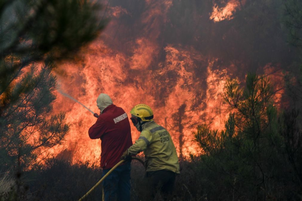 Treze concelhos de cinco distritos estão em risco máximo de incêndio