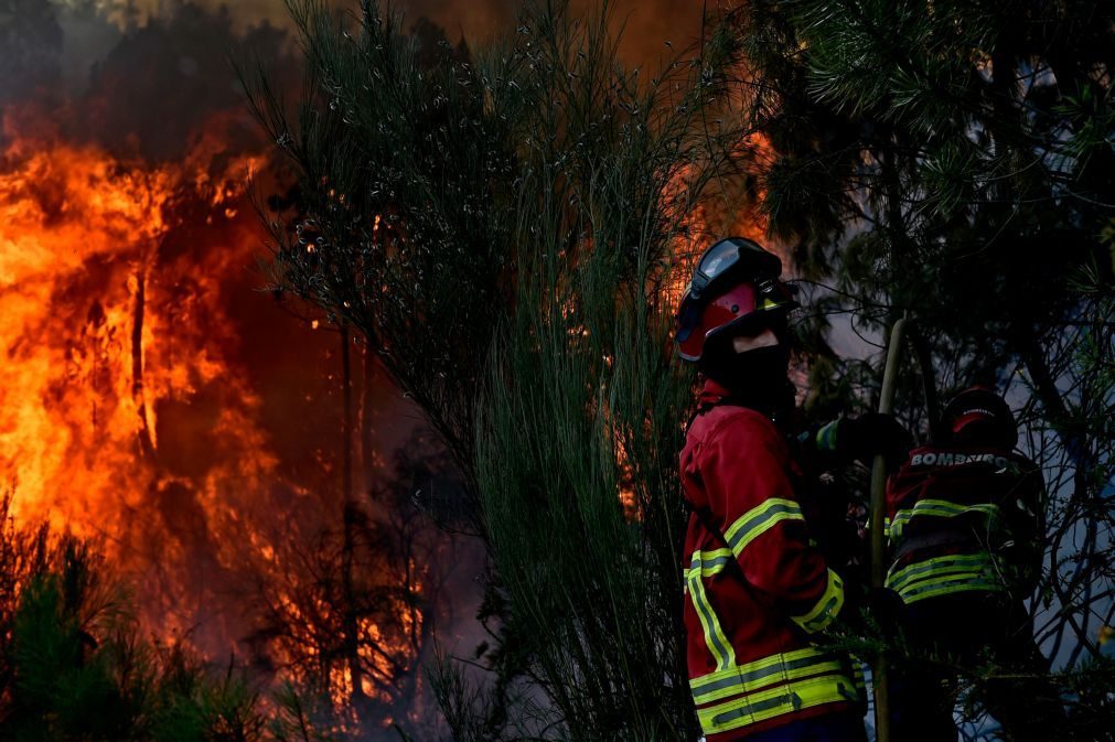 Seis meios aéreos combatem chamas em Sabrosa