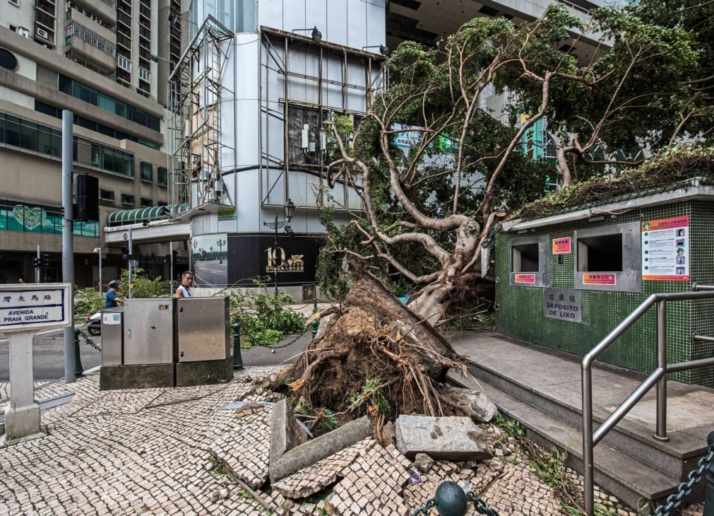 Cinco mortos em Macau provocados pelo tufão Hato