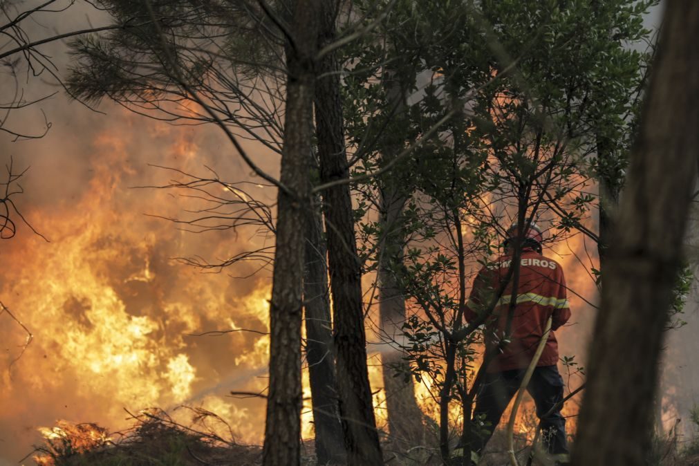 Sete concelhos de quatro distritos em risco máximo de incêndio