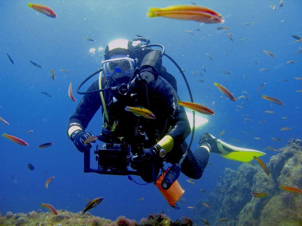 Ecoturismo marinho rende cerca de 210 milhões de euros por ano nos Açores