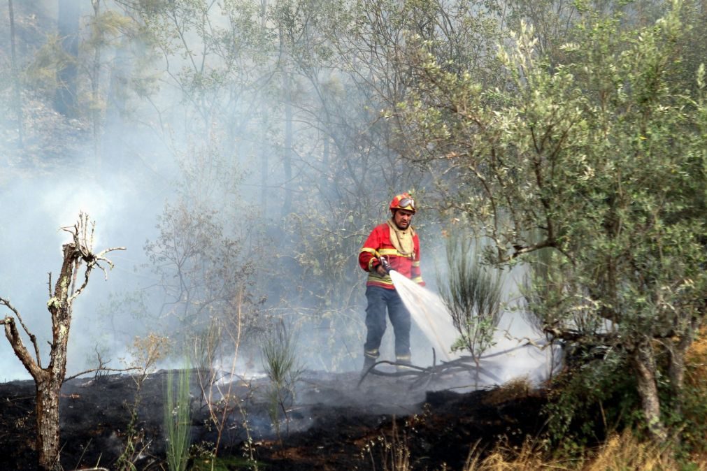 Autoridades detiveram 128 pessoas este ano pelo crime de incêndio